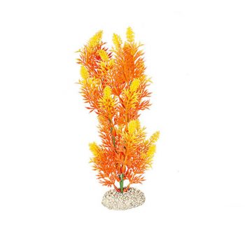 Aqua Della Plants Elodea 25cm