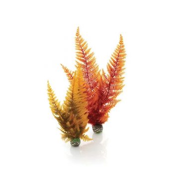 Oase BiOrb decor Aquatic autumn fern set