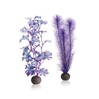 Oase Biorb Kelp Set M purple