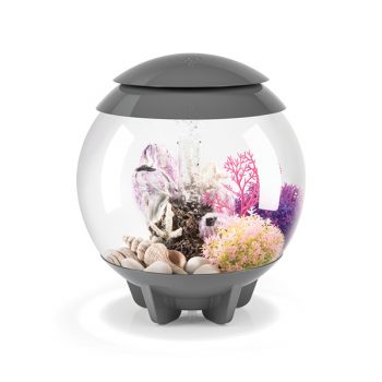 Oase Biorb Halo 15 MCR Grey