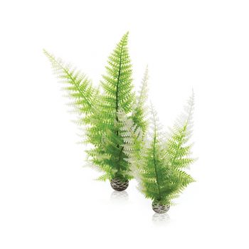 Oase Biorb Winter Fern Set