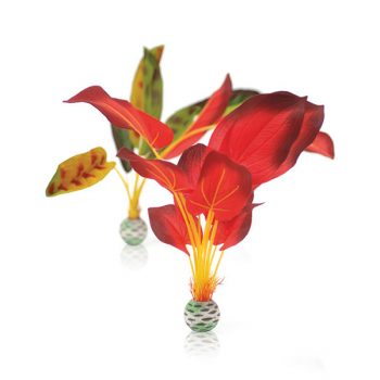 OASE BiOrb decor Silkplant set L green & red