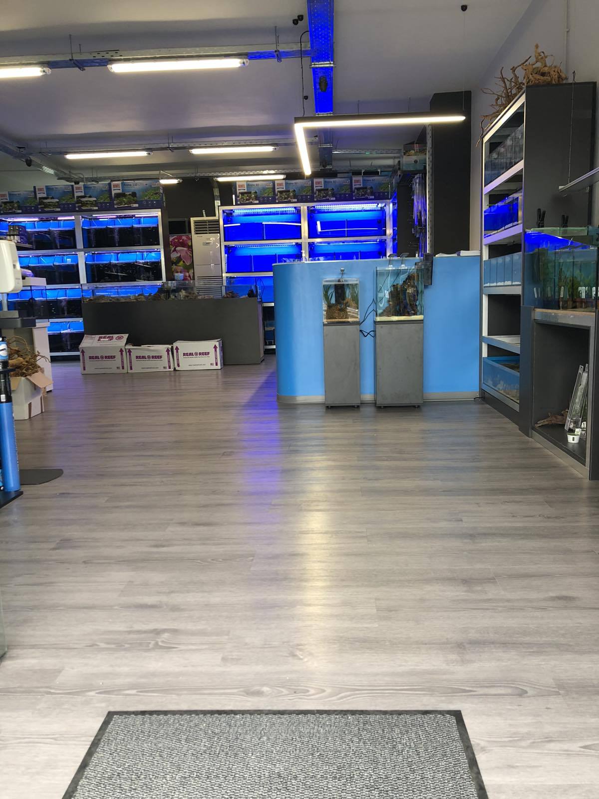 Νέα Ερυθραία