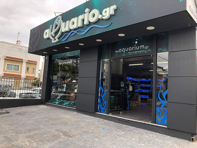 Νέα Ερυθραία