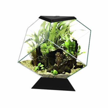 Ciano Nexus Pure Diamond Black 14lt