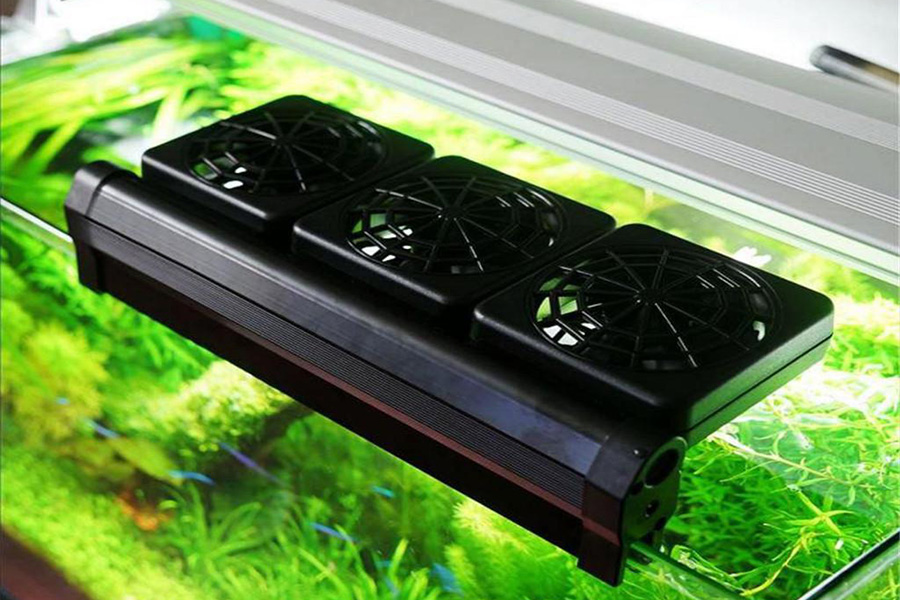 <strong>Πώς να διατηρήσετε το ενυδρείο σας δροσερό στην καλοκαιρινή ζέστη</strong>