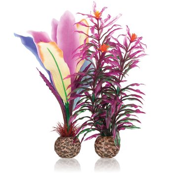 Oase BiOrb parrot feather M (σετ 2 τμχ)