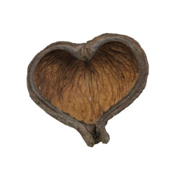 Nature4Pets Thelambu pods 10-15cm