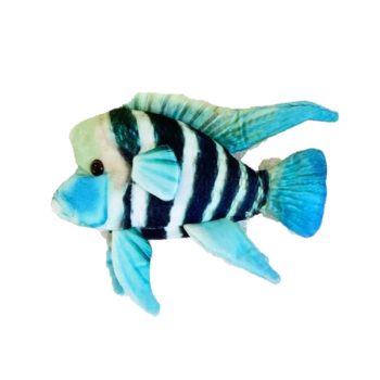 Green Pleco Frontosa Cichlid Plush 29x24x16cm