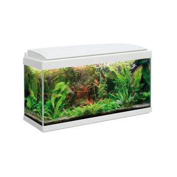 Haquoss Evolution 80 White 80lt