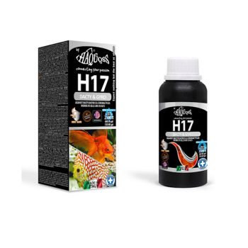 Haquoss H17 Dacty & Gyro