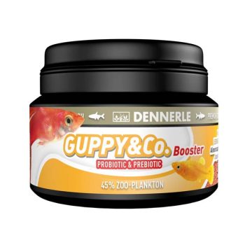 Dennerle Gupppy Booster 100ml