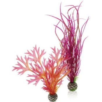 Oase BiOrb Plant Set M Red & Pink