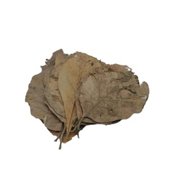 Ceramic Nature Teak Leaves 10pc