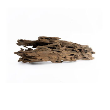 Dragon Wood , per kilo