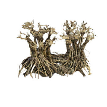 Aquadeco Layout Forest 40cm x 30cm