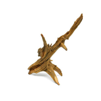 Ent Wood price per kilo