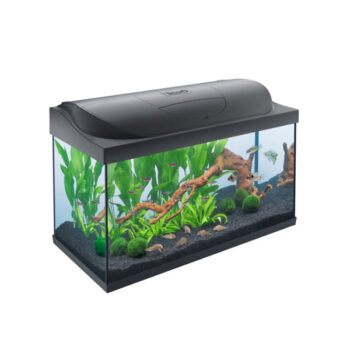 Tetra Starter Line Tank LED Black 105lt