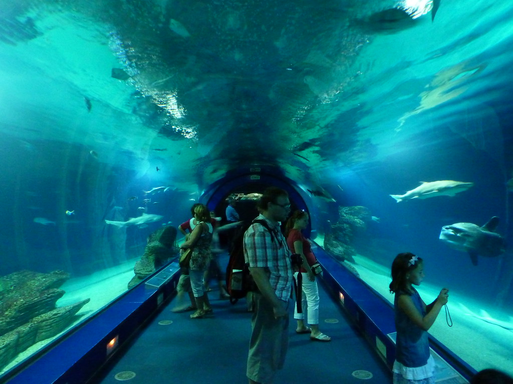 <strong>Τα 10 καλύτερα ενυδρεία στον κόσμο</strong>