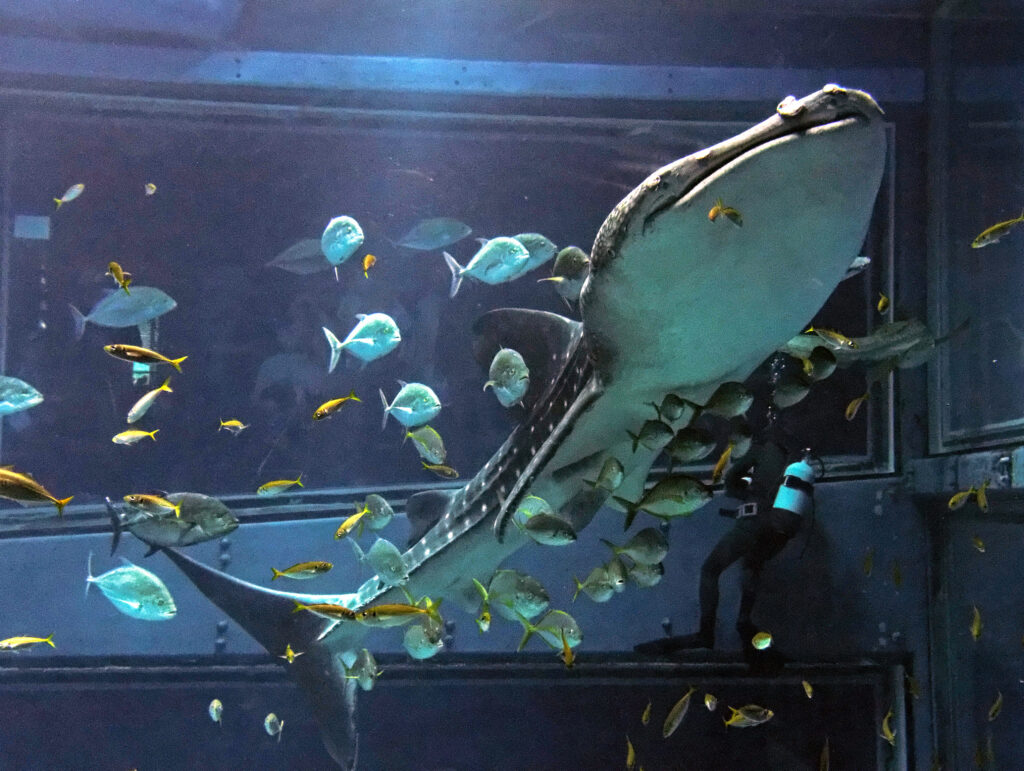 <strong>Τα 10 καλύτερα ενυδρεία στον κόσμο</strong>