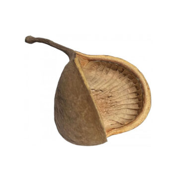 Nature4Pets Βuddha Pods XL