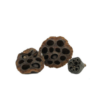 Nature4Pets Lotus pods 3pcs