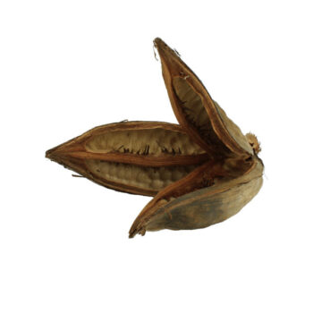 Nature4Pets Sororoca Flower