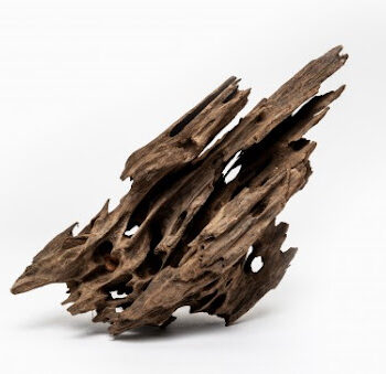 Aquadeco Dragon Wood M 0.35-0.6 // per piece