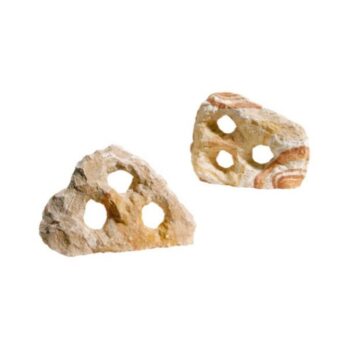 Aquadeco Carved rainbow 2 hole // per piece