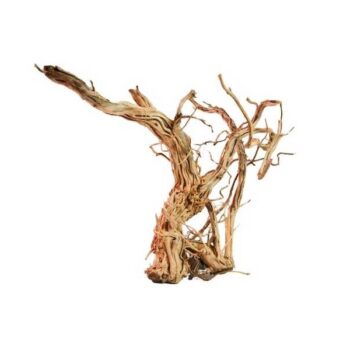 Aquadeco Curl Wood S 30-55cm // per piece