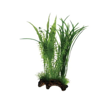 Hobby Flora root 1 S 17cm