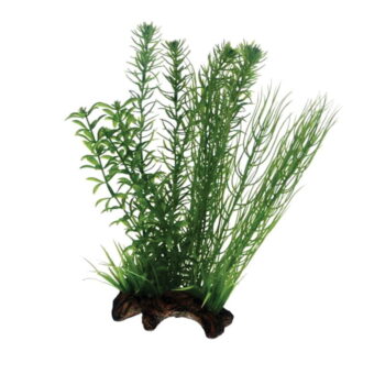 Hobby Flora root 2 L 30cm