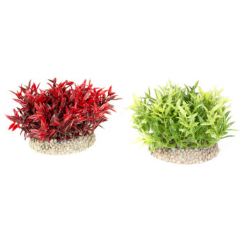 Aqua Della Plant Miracle Moss S 7,5 cm