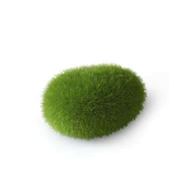 Aqua Della Moss Ball L 11.5 x 9 x 6 cm