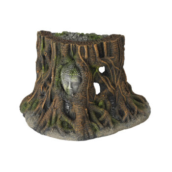 Aqua Della Buddha Tree Thailand S 25.5 x 14 x 15 cm