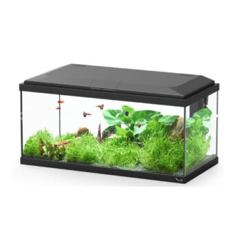 Aquatlantis Brussels 80 Black 105lt