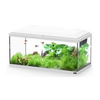 Aquatlantis Brussels 80 White 105lt