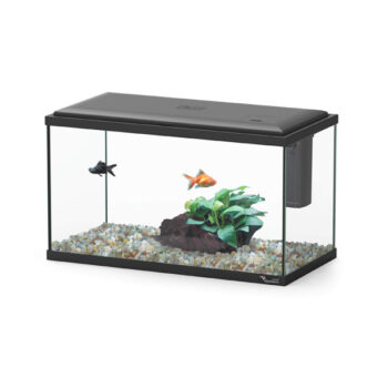 Aquatlantis London Black 13lt