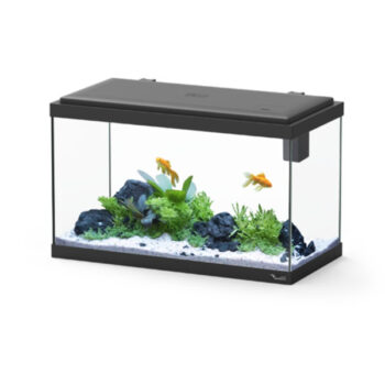 Aquatlantis Vienna Black 34lt