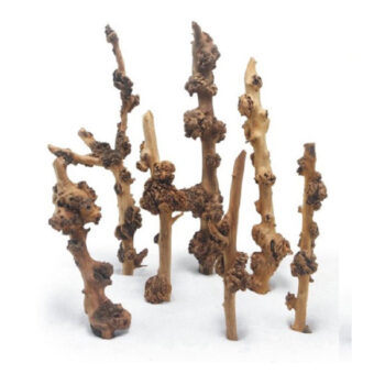 Haquoss Savana Wood Large 40/50cm (end)