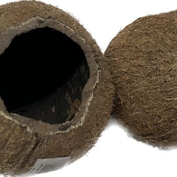 Nature4Pets Coconut shelter 12cm & 8-12cm high