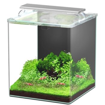 Aquatlantis Kubus Curve 30lt 30x30x38 Complete