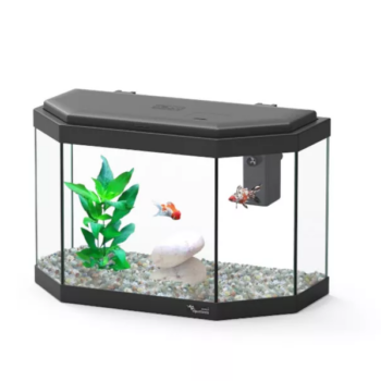 Aquatlantis Athens black 15lt 40x20x26.5