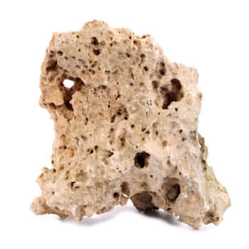 Perforated Stone 0.1-10kg price per kilo