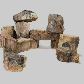 Wooden Fossil Stone 0.1-10kg price per kilo