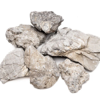 Elephant Skined Stone 0.1-10kg price per kilo