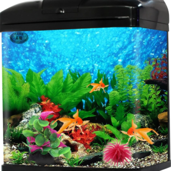 Sobo Mini Fashion Aquarium T-48F