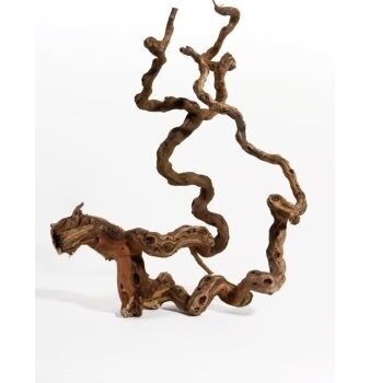 Aquadeco Wine wood S // per piece