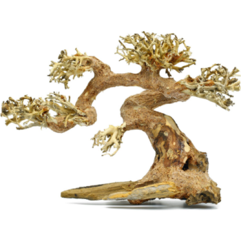 Aquadeco Claw Bonsai M 40X25