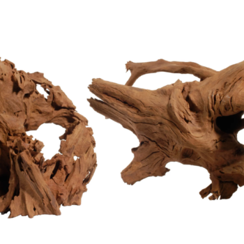 Aquadeco Mangrove L 30-60cm // per piece